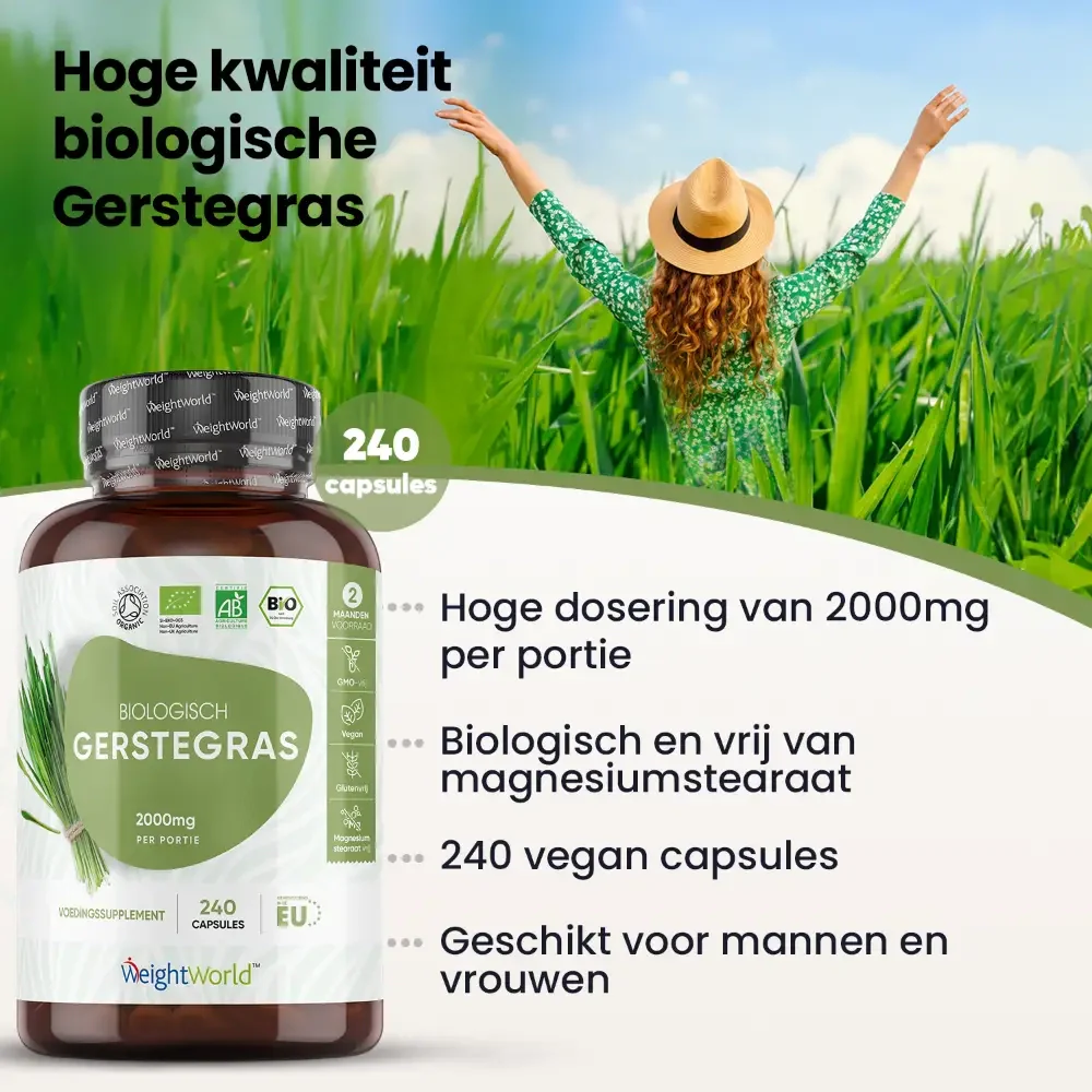 Productafbeelding 2