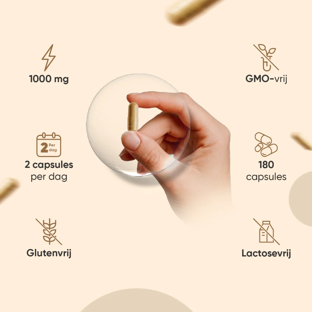 Productafbeelding 4