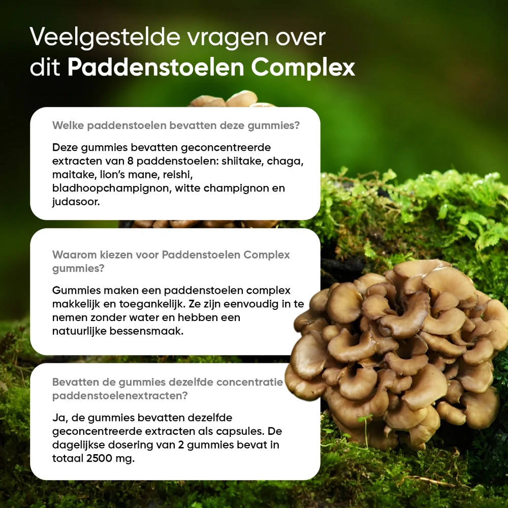 Productafbeelding 5